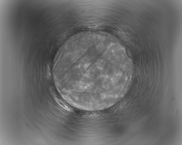 X0000072521106200608111713