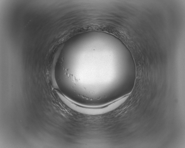 X0000072521109200608111713