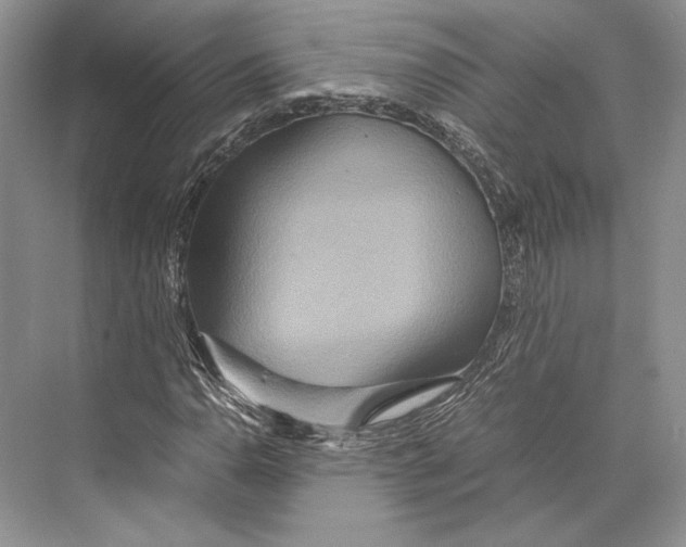 X0000072521110200608111713