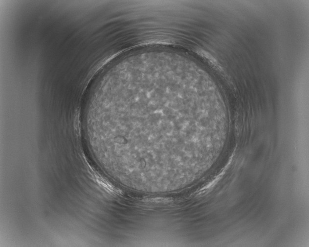 X0000072521113200608111713