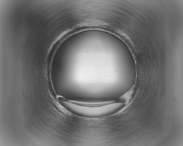 X0000072521114200608111713