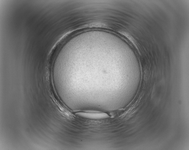 X0000072521115200608111713