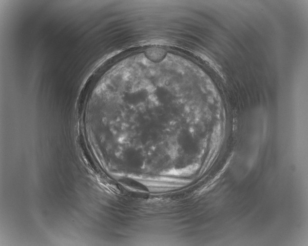 X0000072521117200608111713