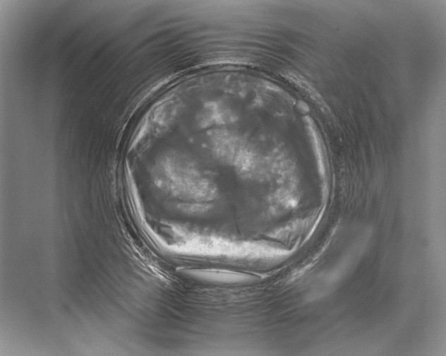 X0000072521121200608111713