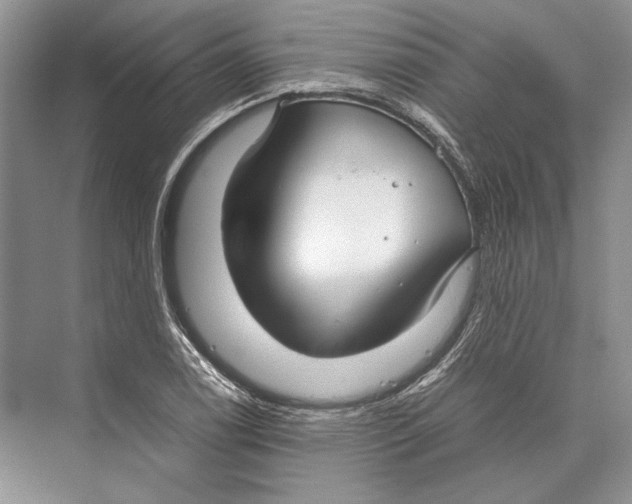 X0000072521122200608111713