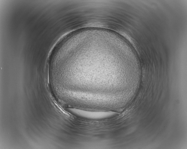 X0000072521123200608111713