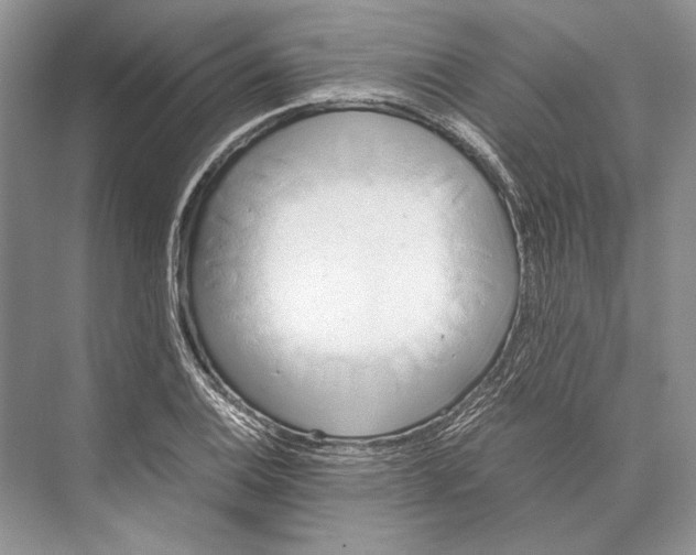 X0000072521124200608111713