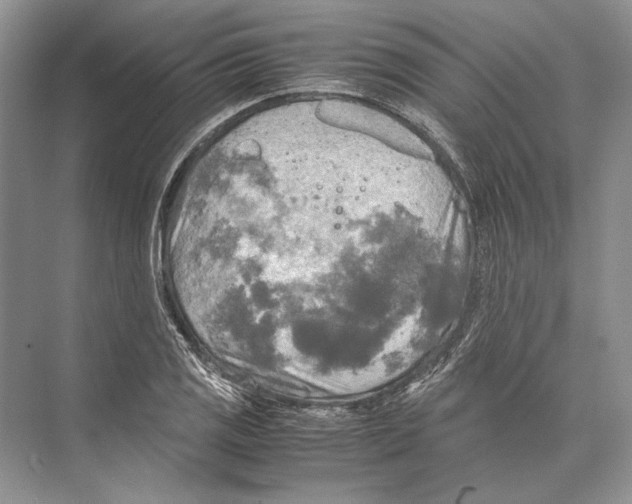 X0000072521125200608111713