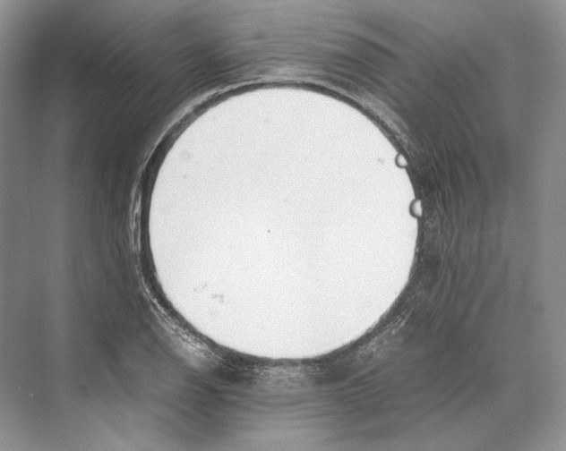 X0000072521126200608111713