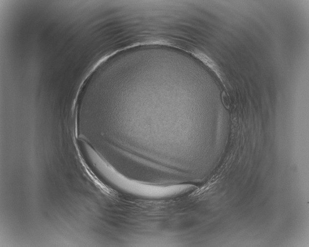 X0000072521127200608111713