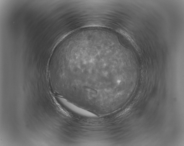 X0000072521129200608111713