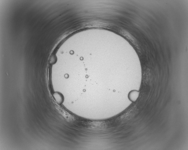 X0000072521130200608111713