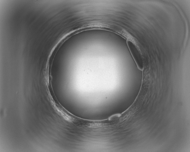 X0000072521132200608111713