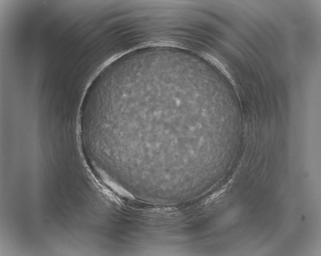 X0000072521133200608111713