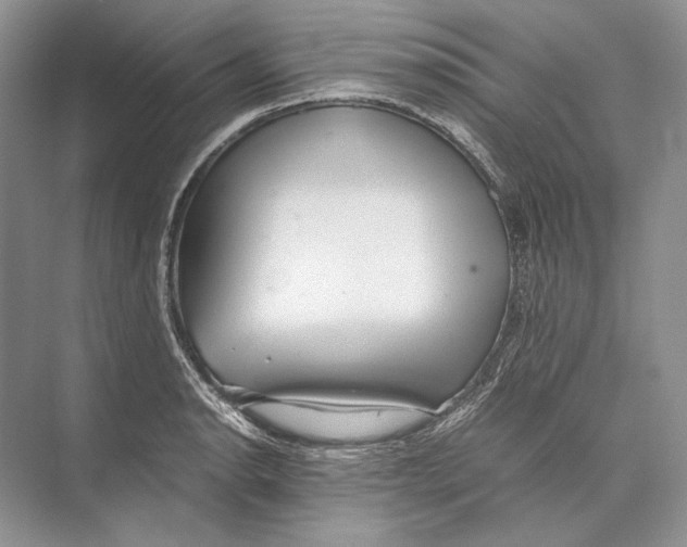 X0000072521134200608111713