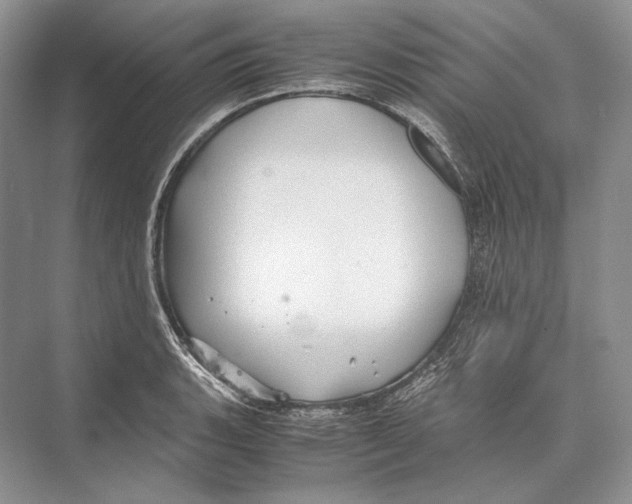 X0000072521135200608111713