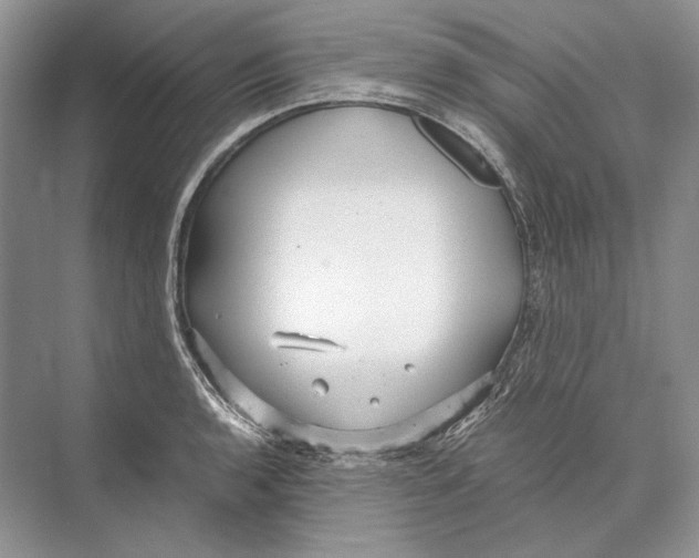 X0000072521136200608111713