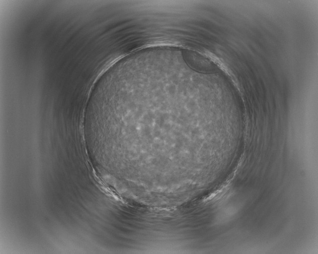 X0000072521137200608111713