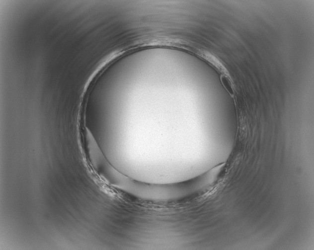 X0000072521138200608111713