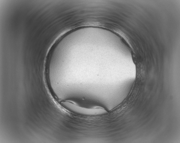 X0000072521139200608111713