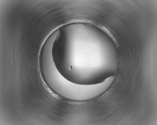 X0000072521140200608111713