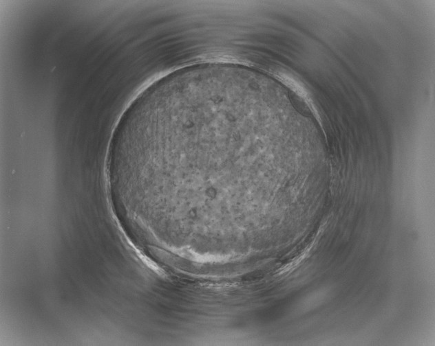 X0000072521141200608111713