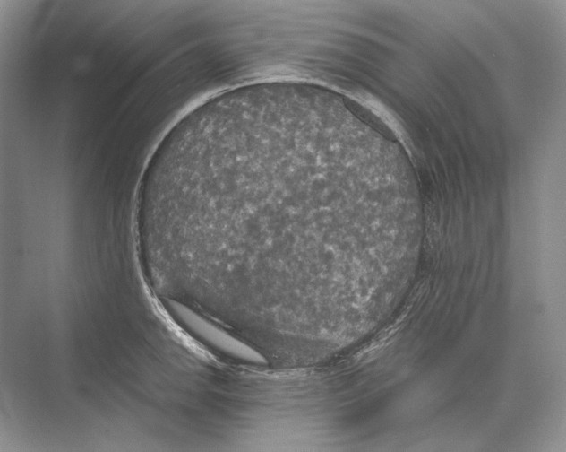 X0000072521142200608111713