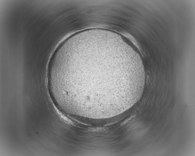 X0000072521143200608111713