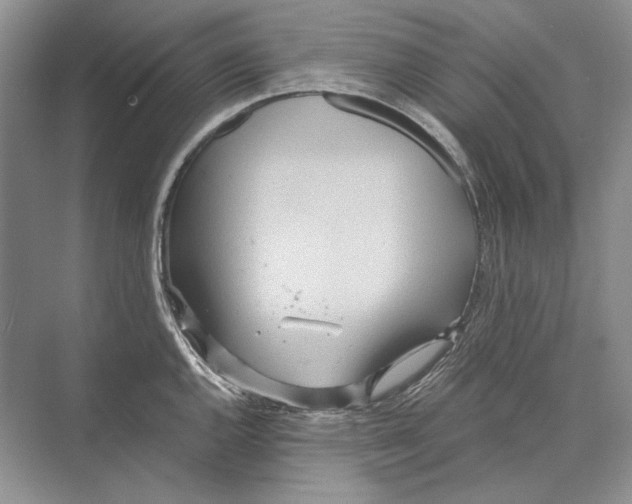 X0000072521144200608111713