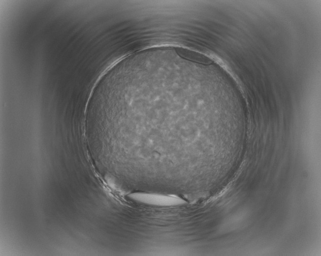 X0000072521145200608111713