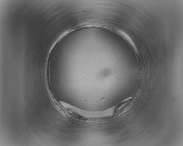 X0000072521146200608111713