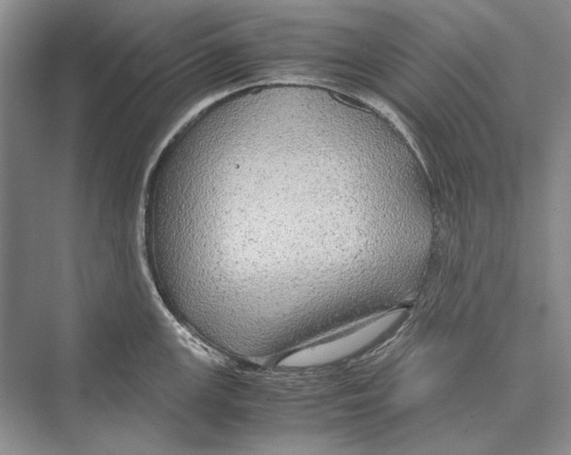 X0000072521147200608111713