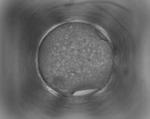 X0000072521149200608111713