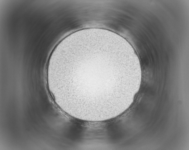 X0000072521150200608111713