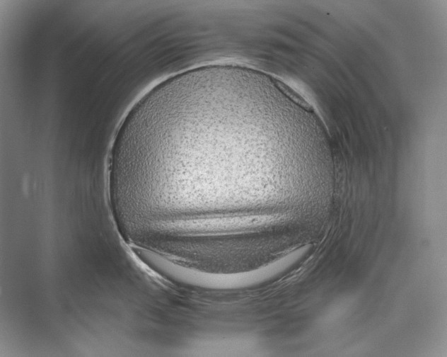 X0000072521151200608111713