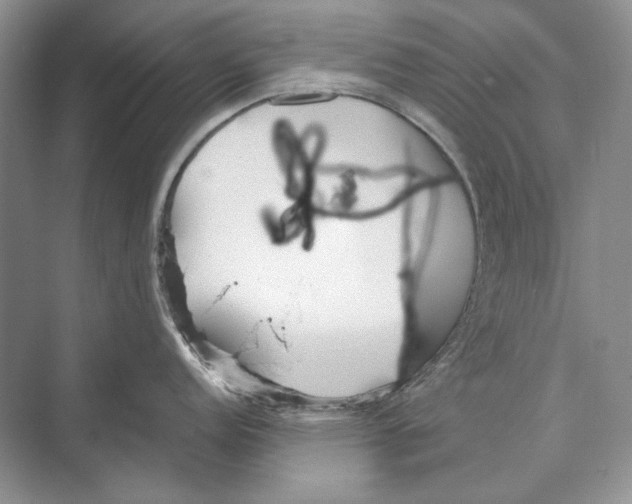 X0000072521152200608111713