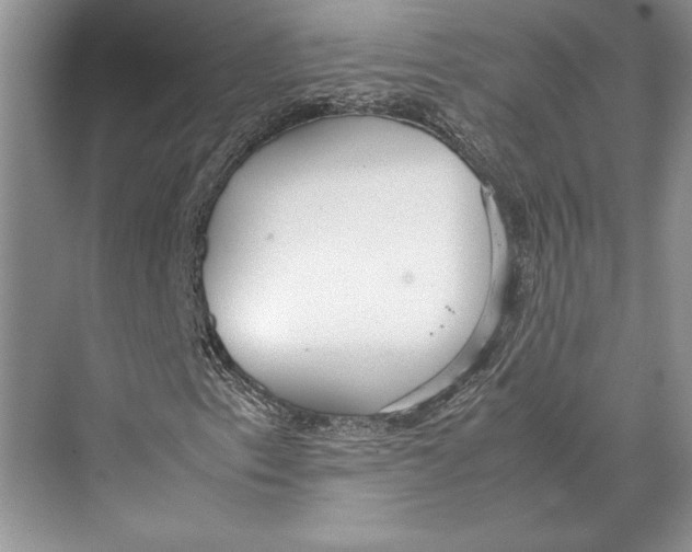 X0000072521153200608111713