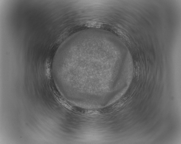 X0000072521154200608111713