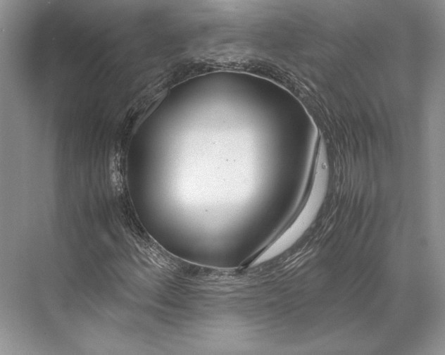 X0000072521156200608111713