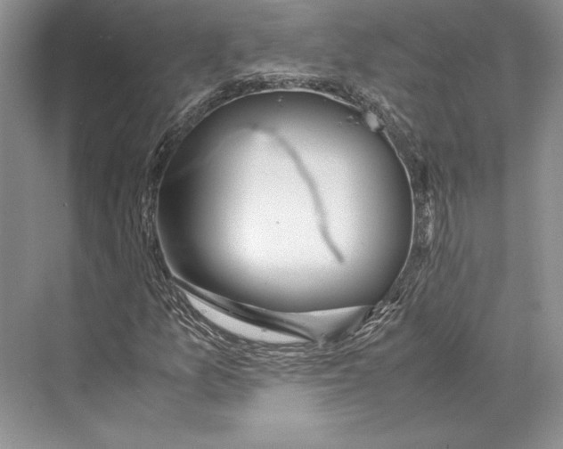 X0000072521157200608111713