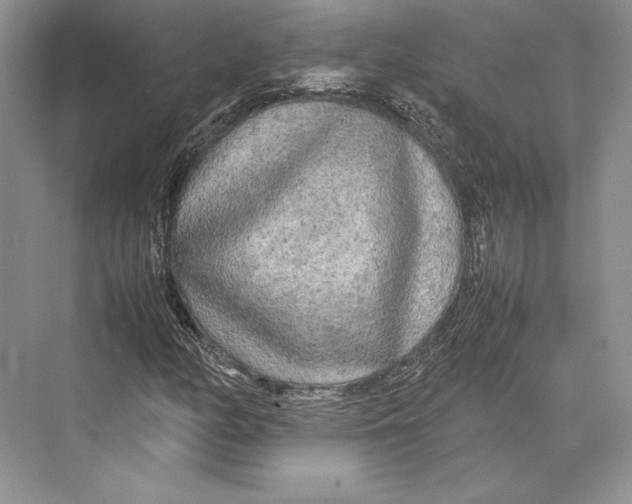 X0000072521158200608111713