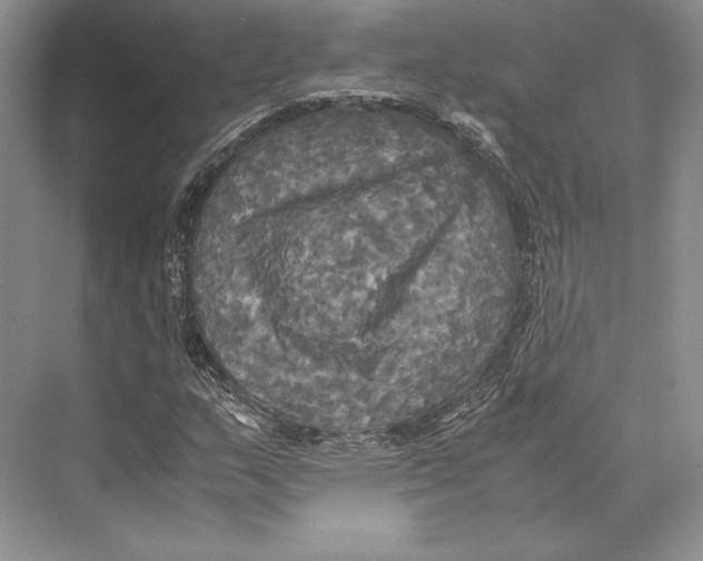 X0000072521159200608111712