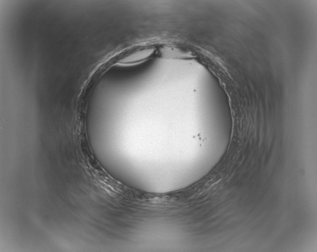 X0000072521160200608111712