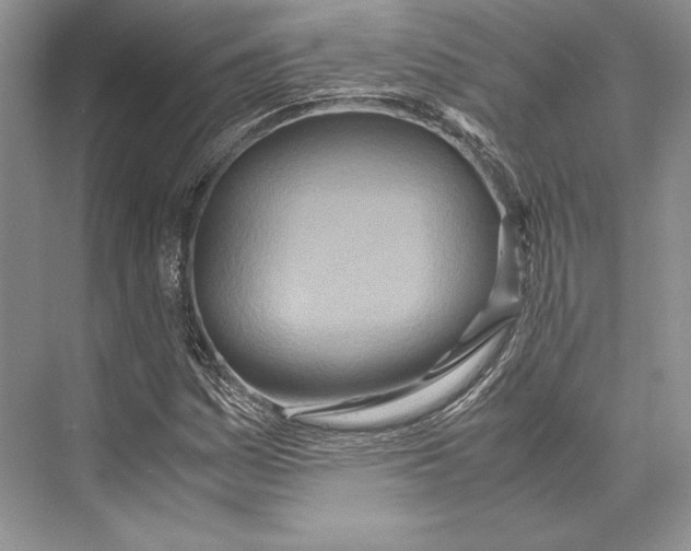 X0000072521161200608111712