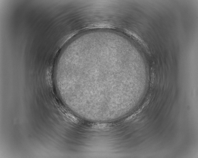 X0000072521162200608111712