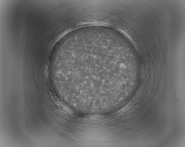 X0000072521163200608111712