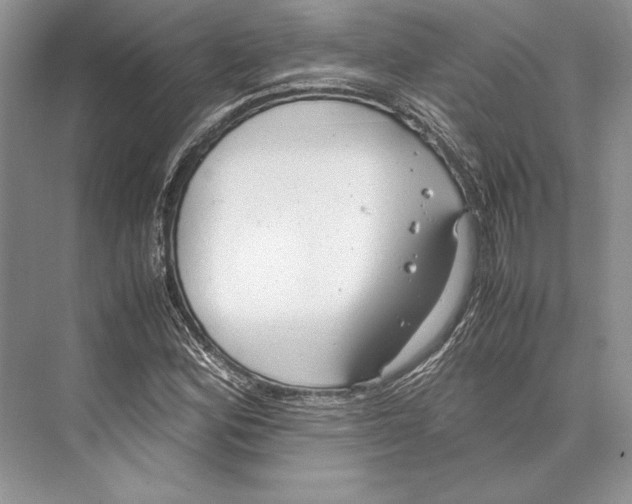 X0000072521164200608111712