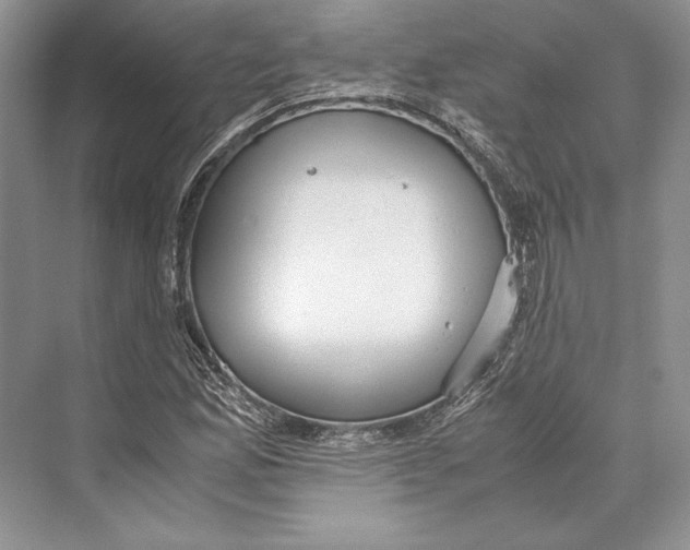 X0000072521165200608111712