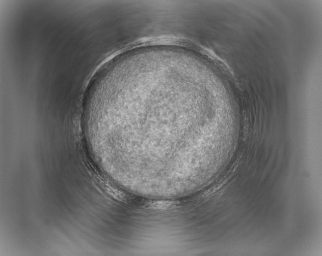 X0000072521166200608111712