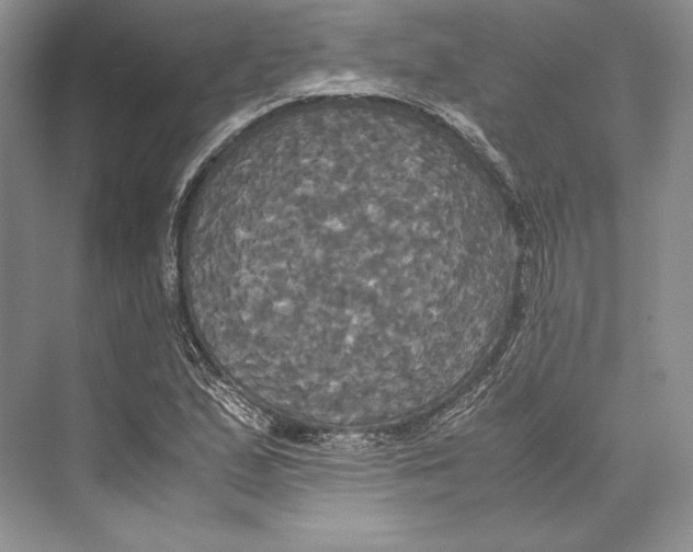 X0000072521167200608111712